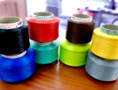 Đẩy mạnh sợi tái chế, Sợi Thế Kỷ tự tin kế hoạch lợi nhuận cao nhất trong 10 năm